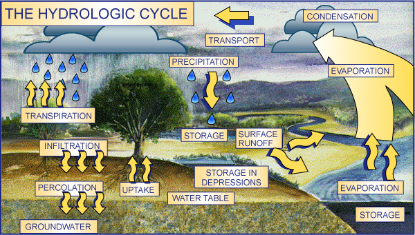 water cycle animation. Hydrologic Animation Cycle